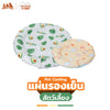 Hosttail pet cooling เบาะเย็นสัตว์เลี้ยง